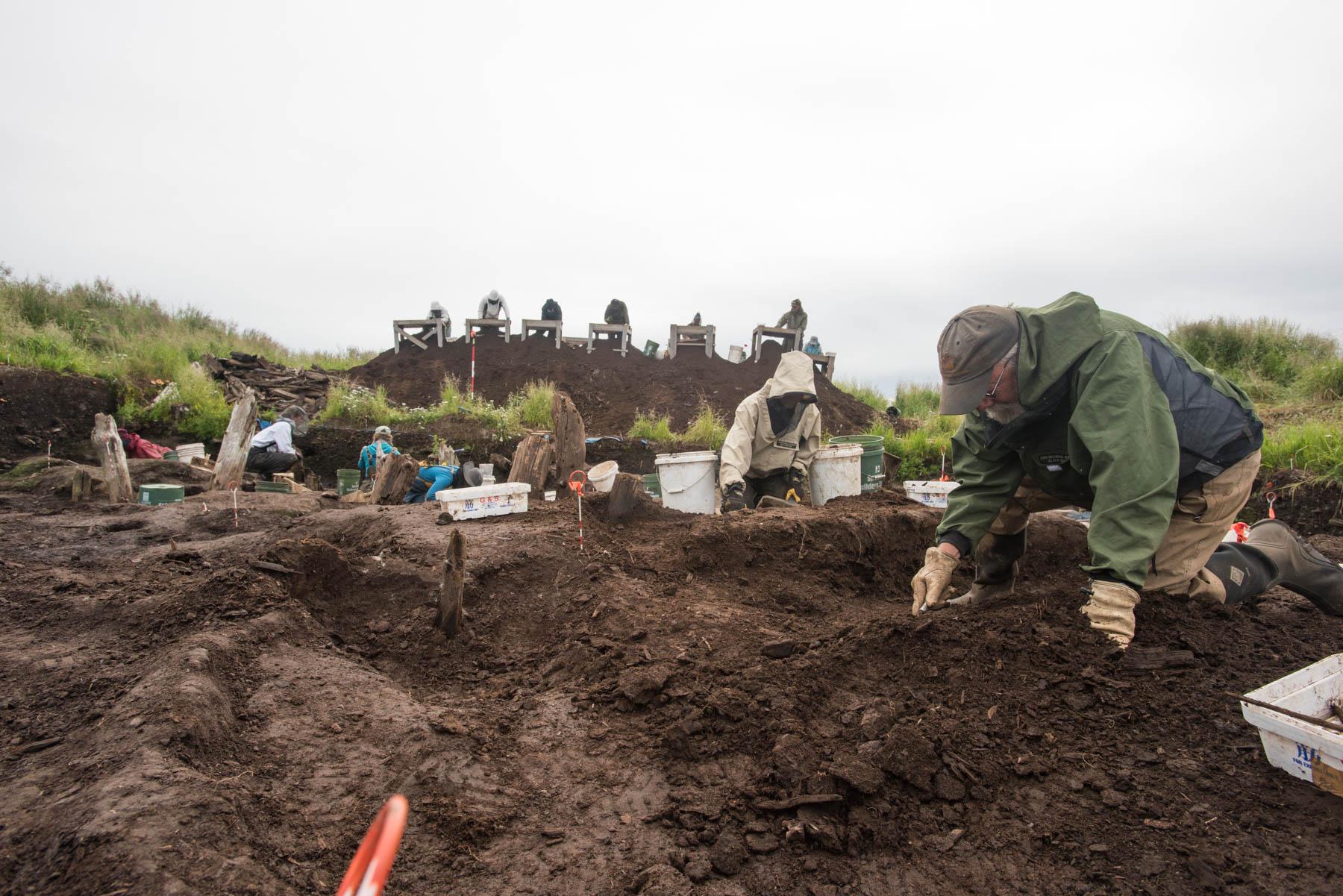 Dr. Rick Knecht digs July 24, 2018, at the Nunalleq site. (Photo by Katie Basile/KYUK)