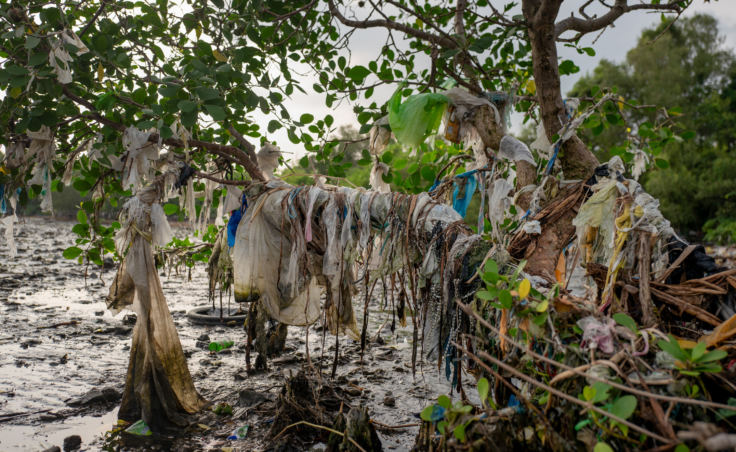 Plastic waste washes in from Manila Bay and the ocean, covering the beach and mangrove trees of Freedom Island, a protected area in the bay.
