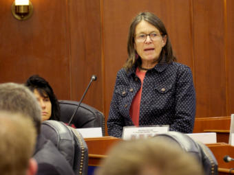 Rep. Jennifer Johnston, R-Anchorage, speaks during a House floor session at the Capitol in Juneau on Feb. 14, 2019.