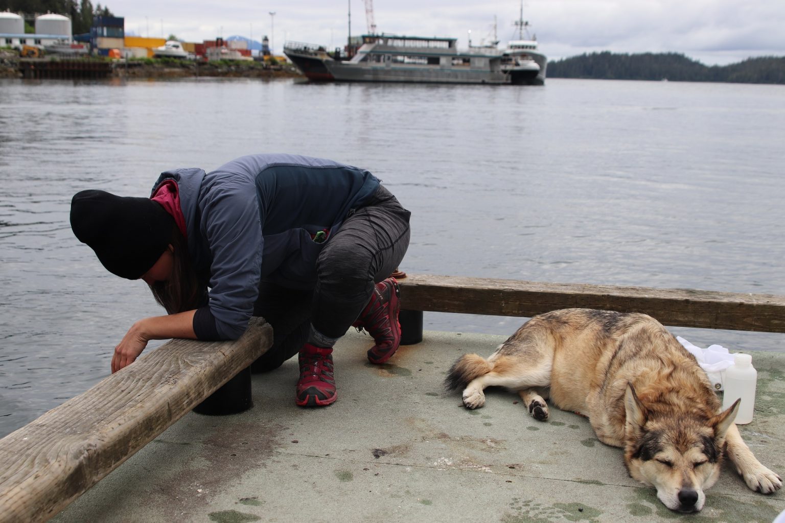EnviroNaomi Bargmann conducts tests at the Starrigavan Dock in Sitka while her dog Chickie sleeps beside her.