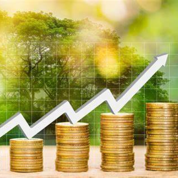 Explore The Best Investment Options Of 2024