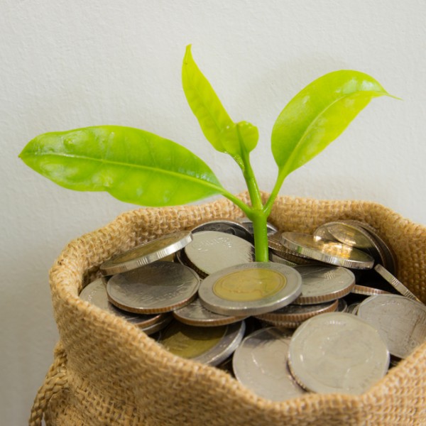 The Truth About Annuities: What You Need to Know