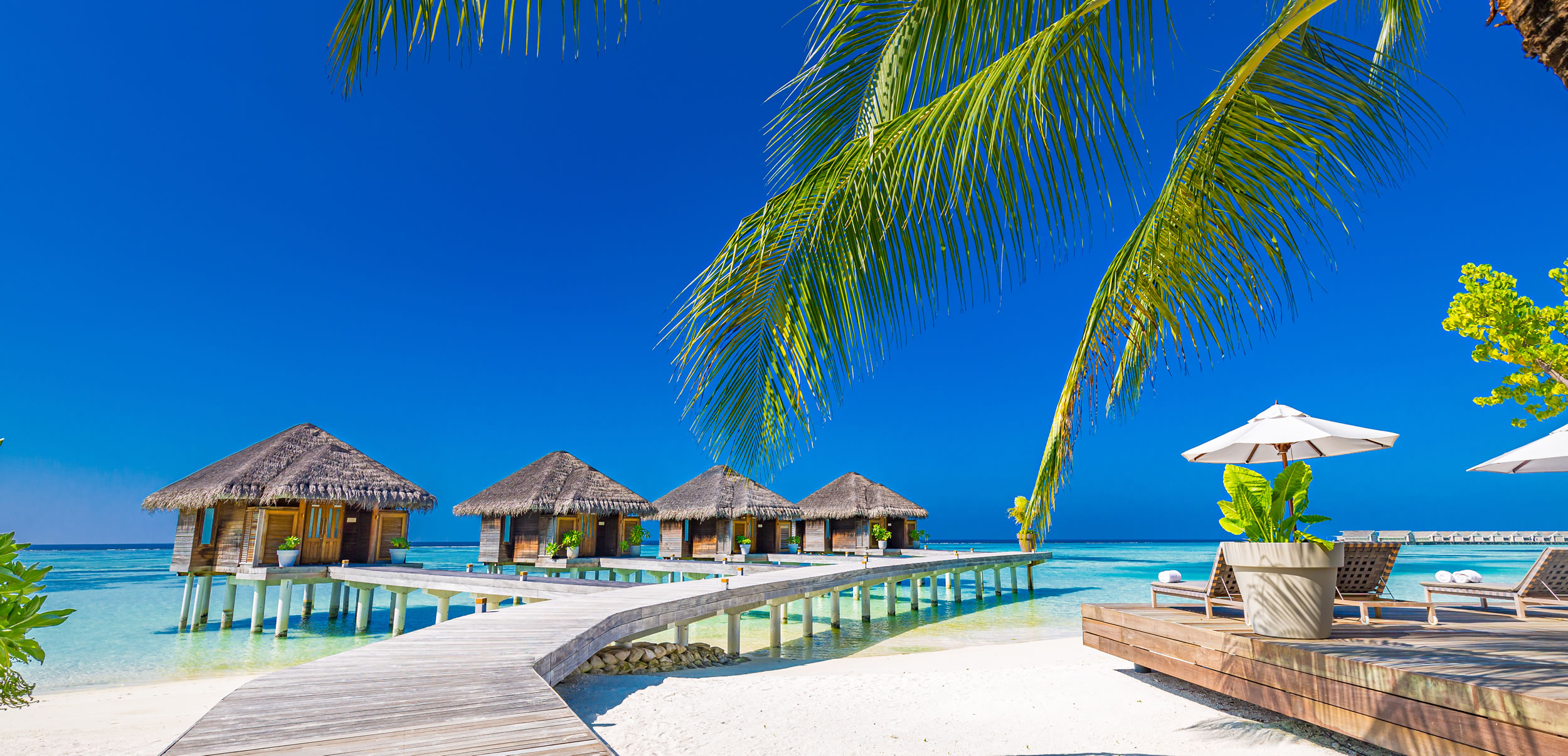 Top Caribbean Destinations You Must Try