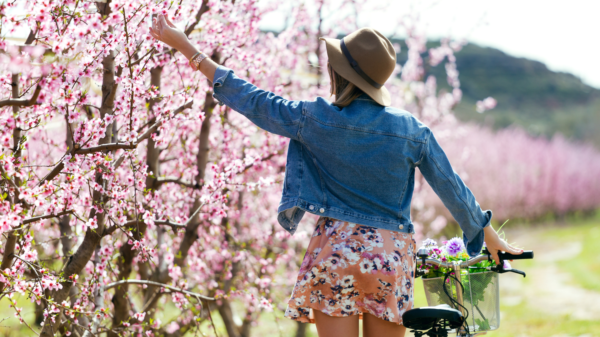 Finding the Best Prices on Spring and Summer Dresses