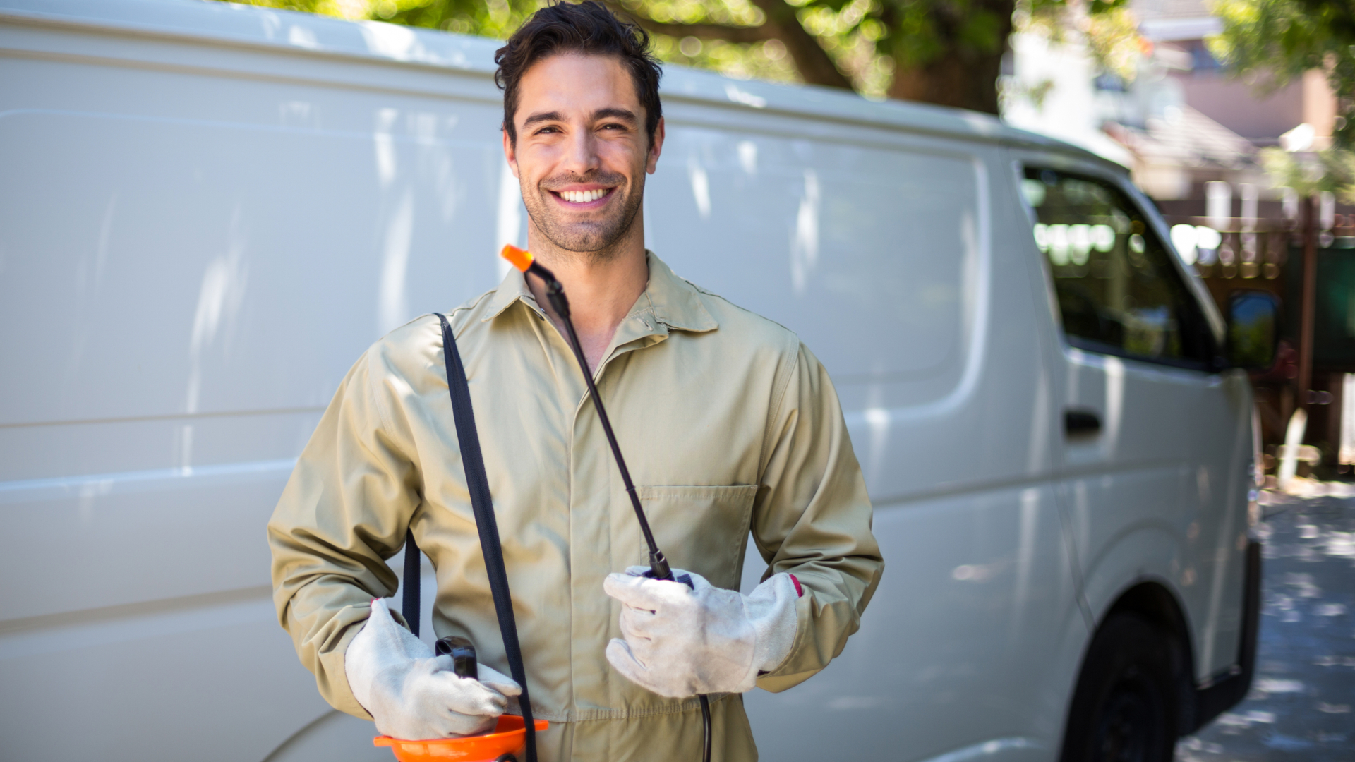 How to Choose the Best Pest Control Services