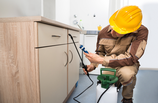 Choosing the Best Pest Control Company