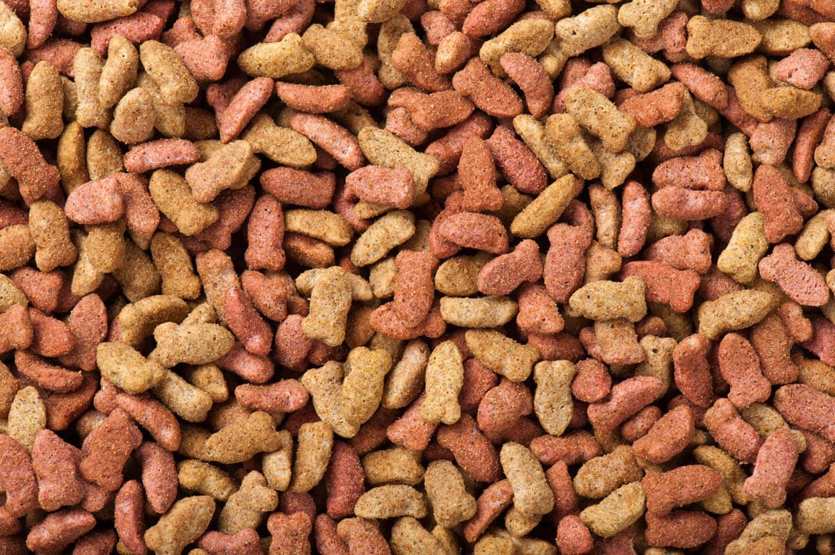 Dog Food