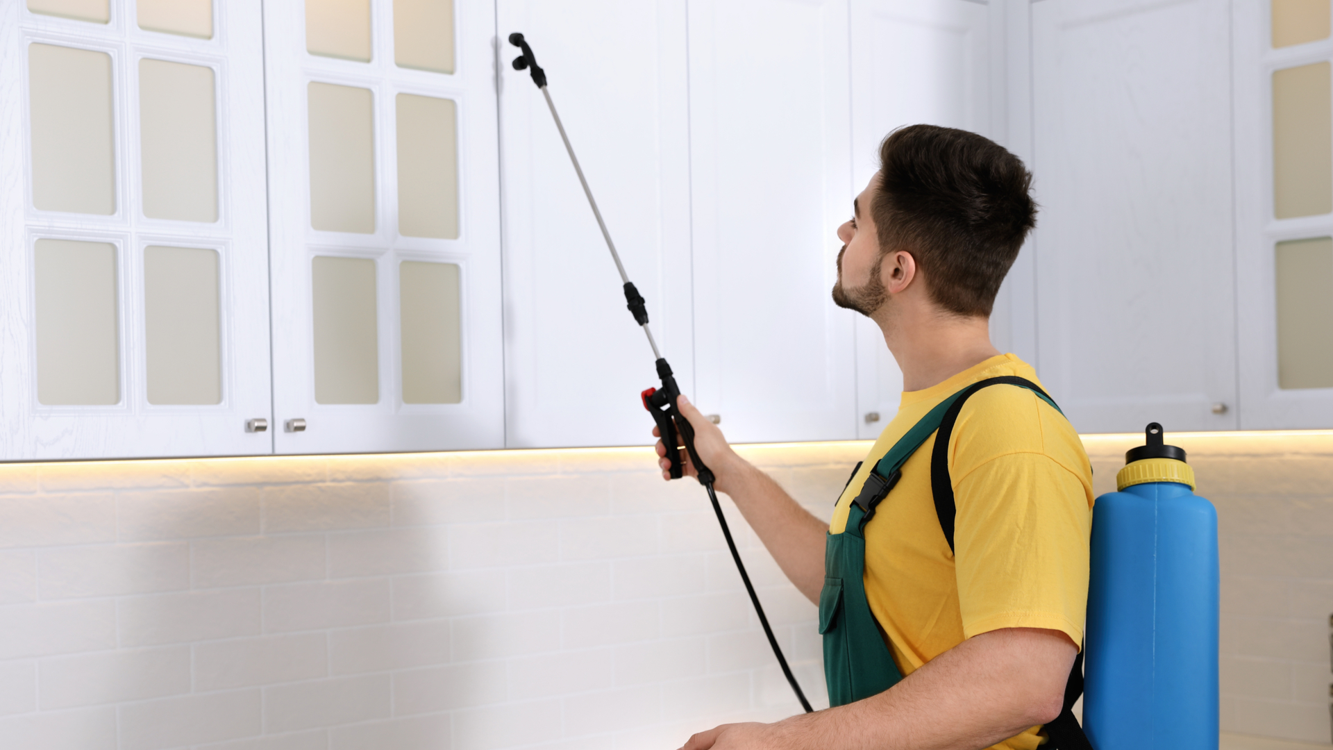 Finding Affordable Pest Control Services Near Me