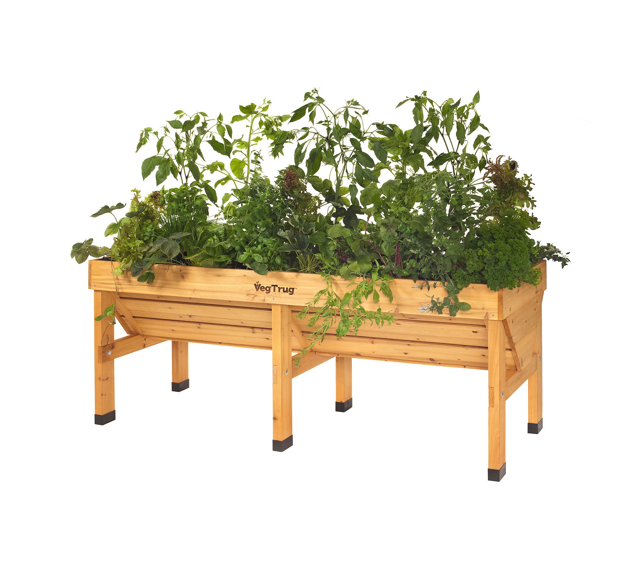 Why You Should Consider Investing in Garden Planters