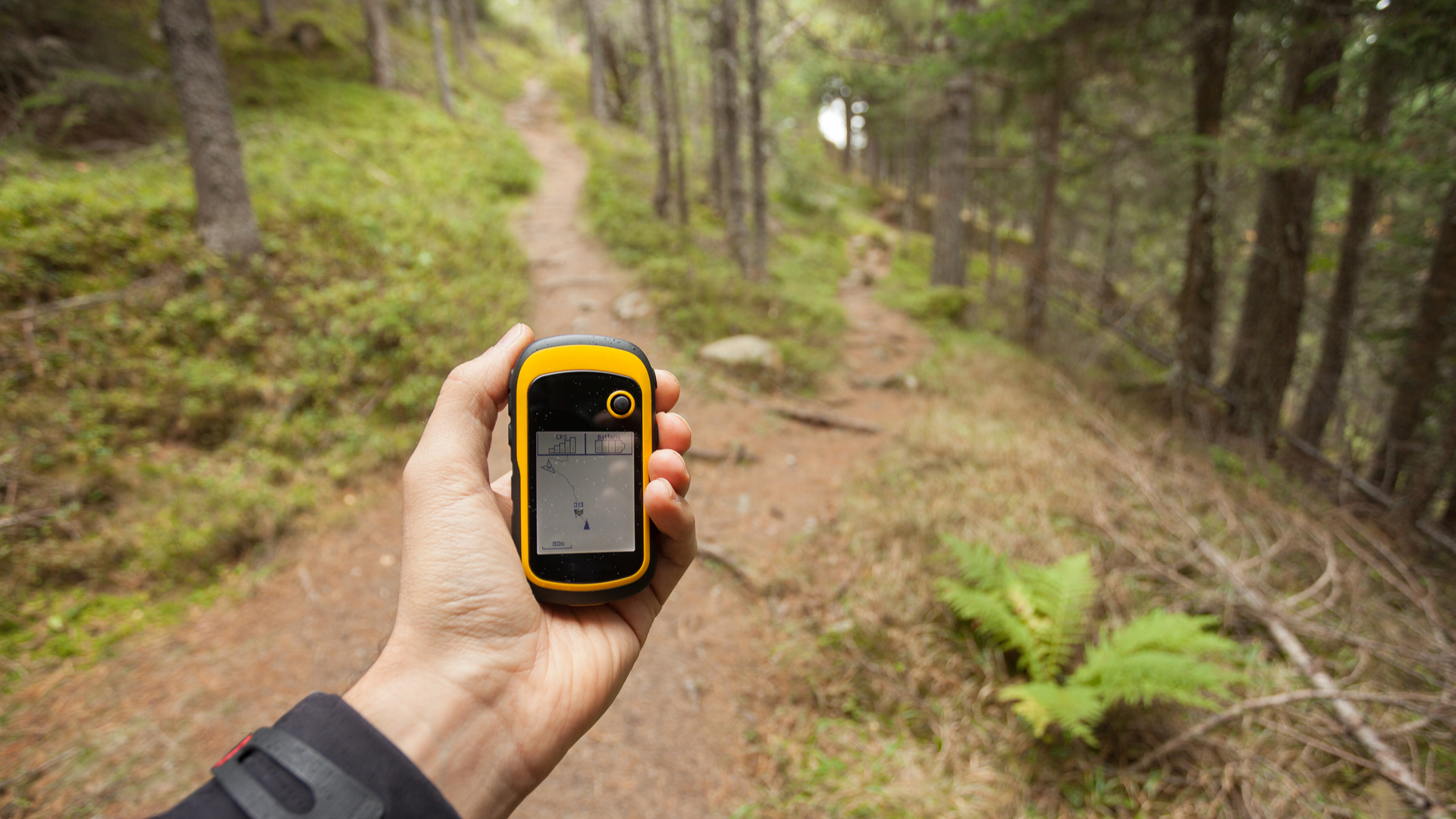 Take Safer Hikes with a GPS Device