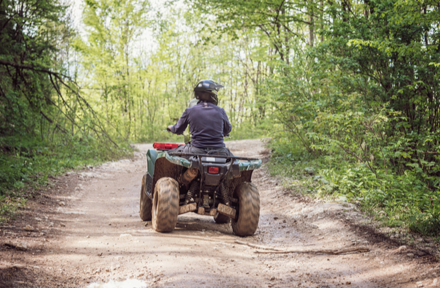 The Best ATVs for Work or Play