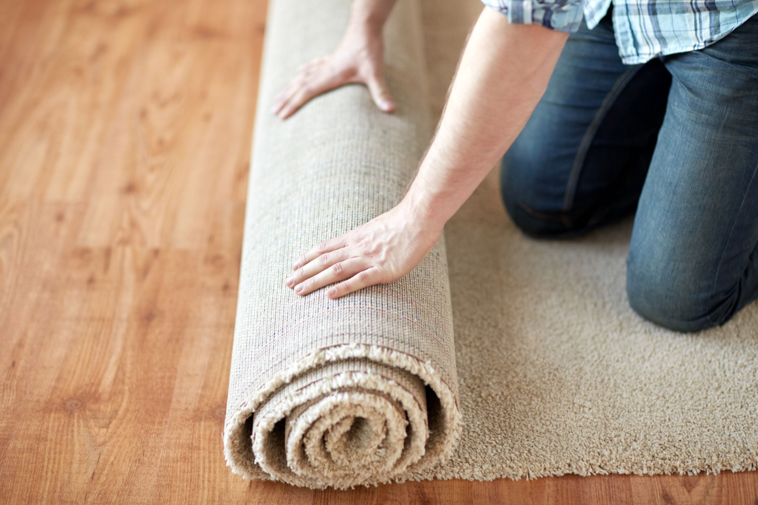 Best Carpet Companies Near Me