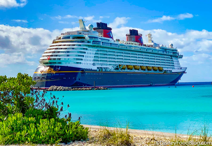 Disney Cruises