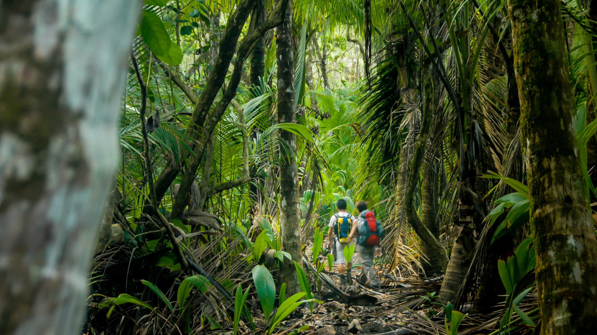 Costa Rica All Inclusive Vacations for Adventurers