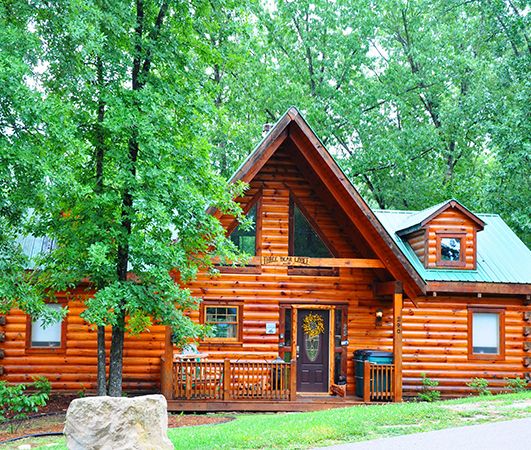 Acaida Cabin Rentals