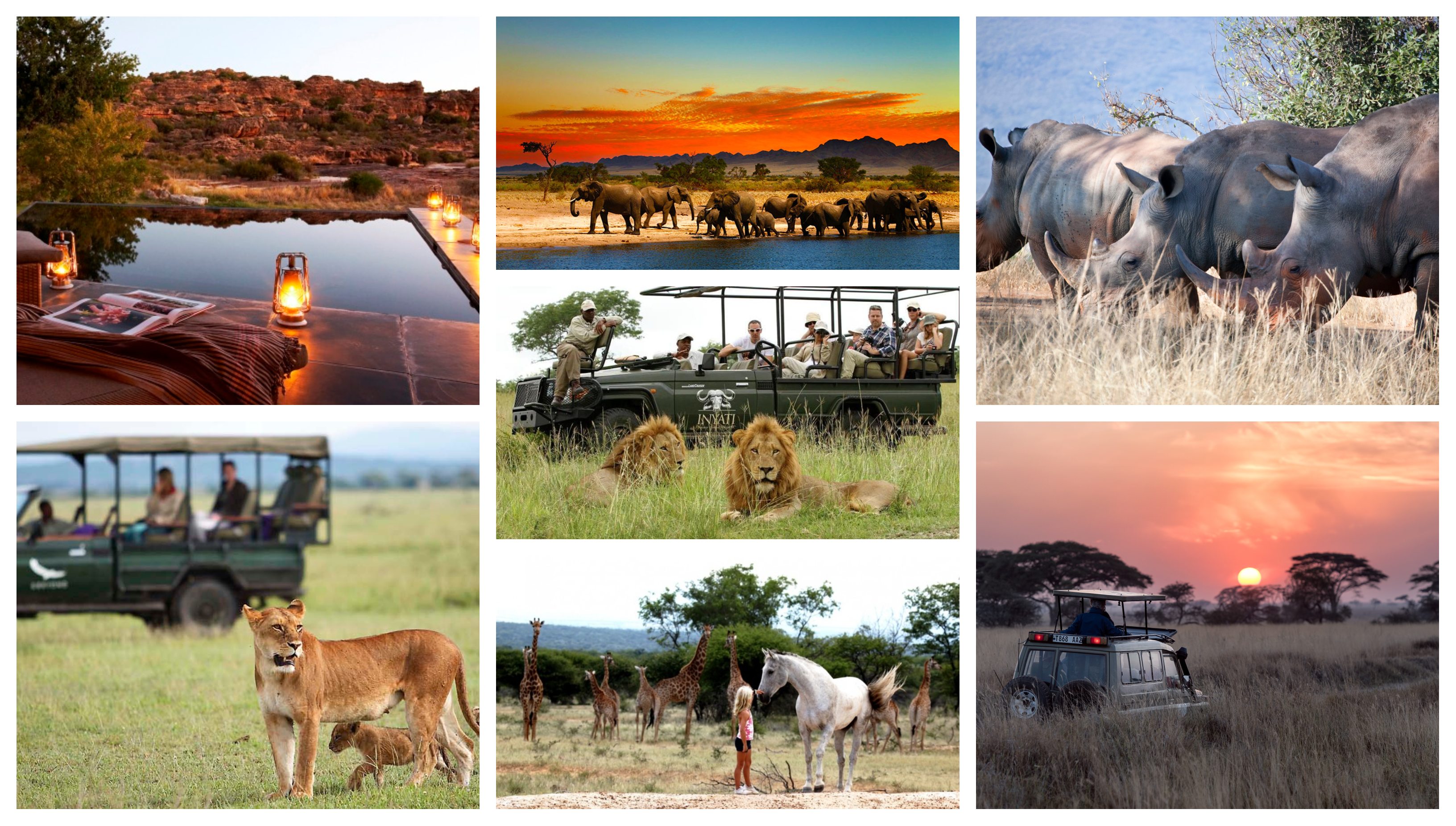 African Safari Holidays