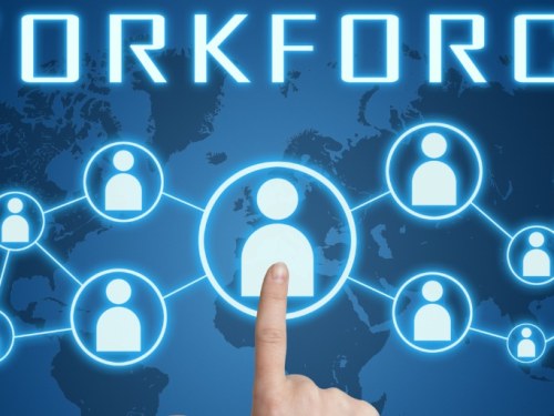 Human Resource Software