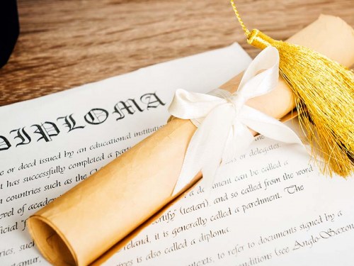 Popular Business Degrees to Pursue This Year