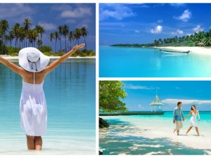Single Travel Packages