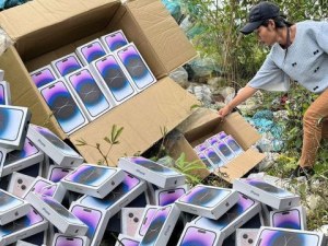 Free Cell Phones