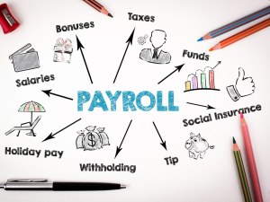 Best Payroll Software Systems 2024