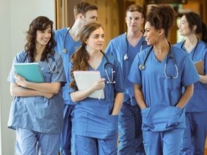 Best Bsn To Msn Programs 2024