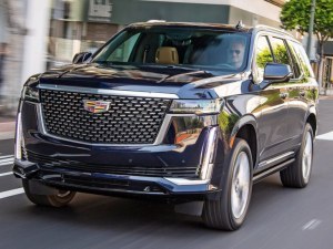 2024 Senior Crossover SUVs Special Offers