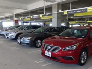 The Basics of Car Rental