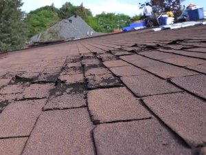Secure Your Home Today. Expert Local Roofers Available 24/7 For Urgent Fixes.