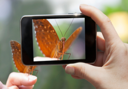 The Relevance of Having a Cell Phone Plan