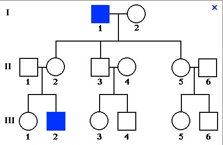 Pedigree illustrating a three generation family and the inheritance of an X-linked recessive trait.
