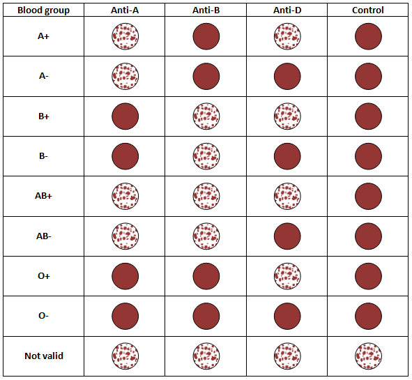 Blood Typing Practice Worksheet