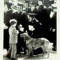 1977-Commencement_dog.tiff