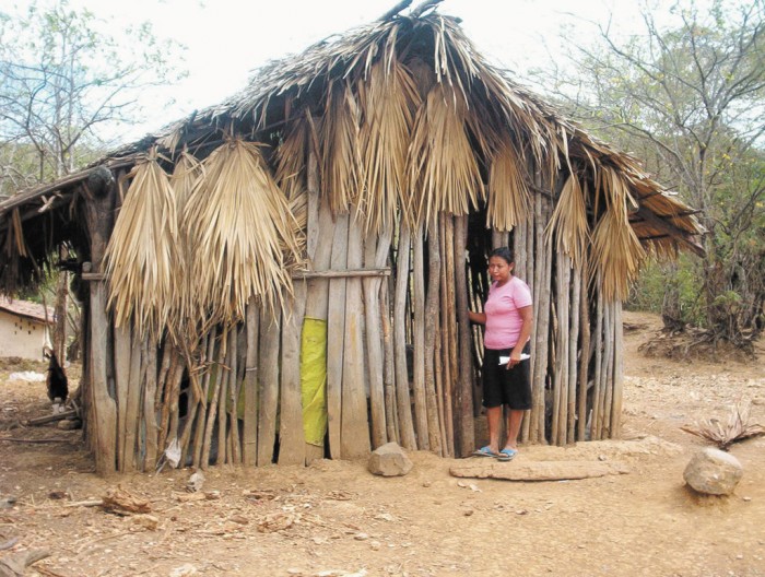 Tres de cada 10 nicas con casas inadecuadas