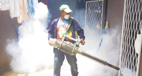 Essays fumigacion contra