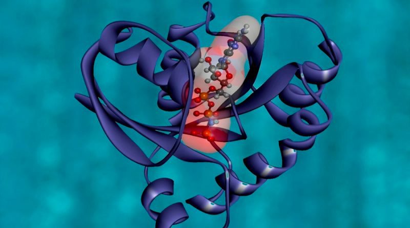 20-09-20-proteinas-800x445.jpg
