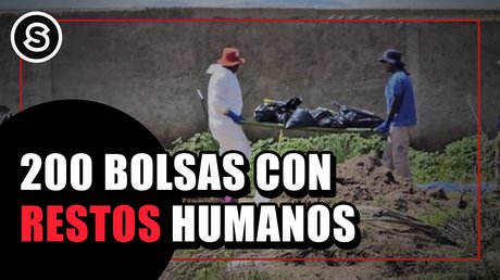 200 bolsas