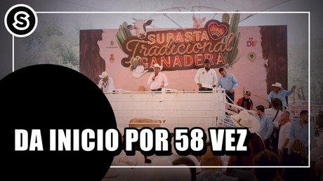 25-jddd
