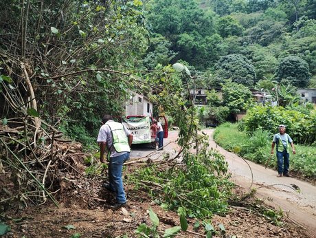 3f54538a-0333-4b0c-a887-a9f1ecbd75c4