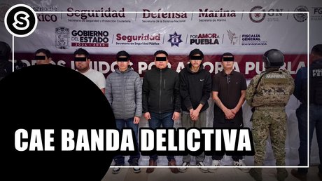 4-sp