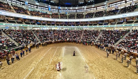 736cb61e-ede8-4161-bb7f-c89591285975