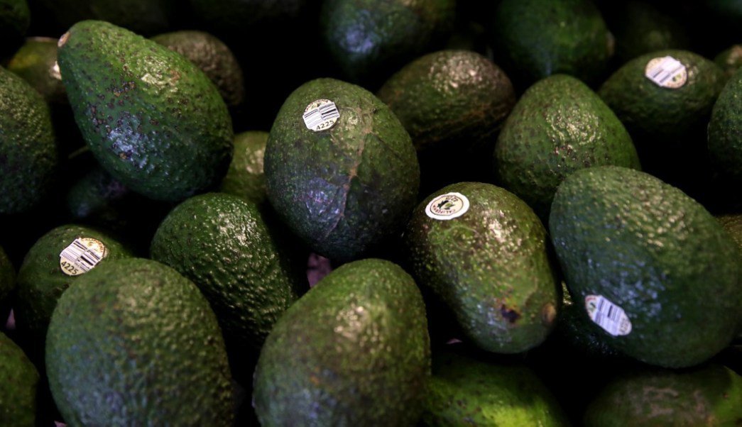 AGUacate.jpg