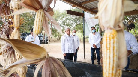 AMLO carretera Costa Gde Gro.jpg