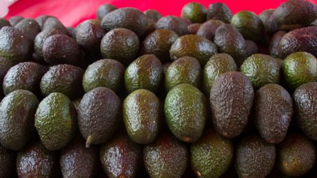 Aguacate precio 80 pesos todo el país