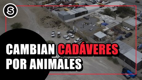 CAMBIAN CADÁVERES