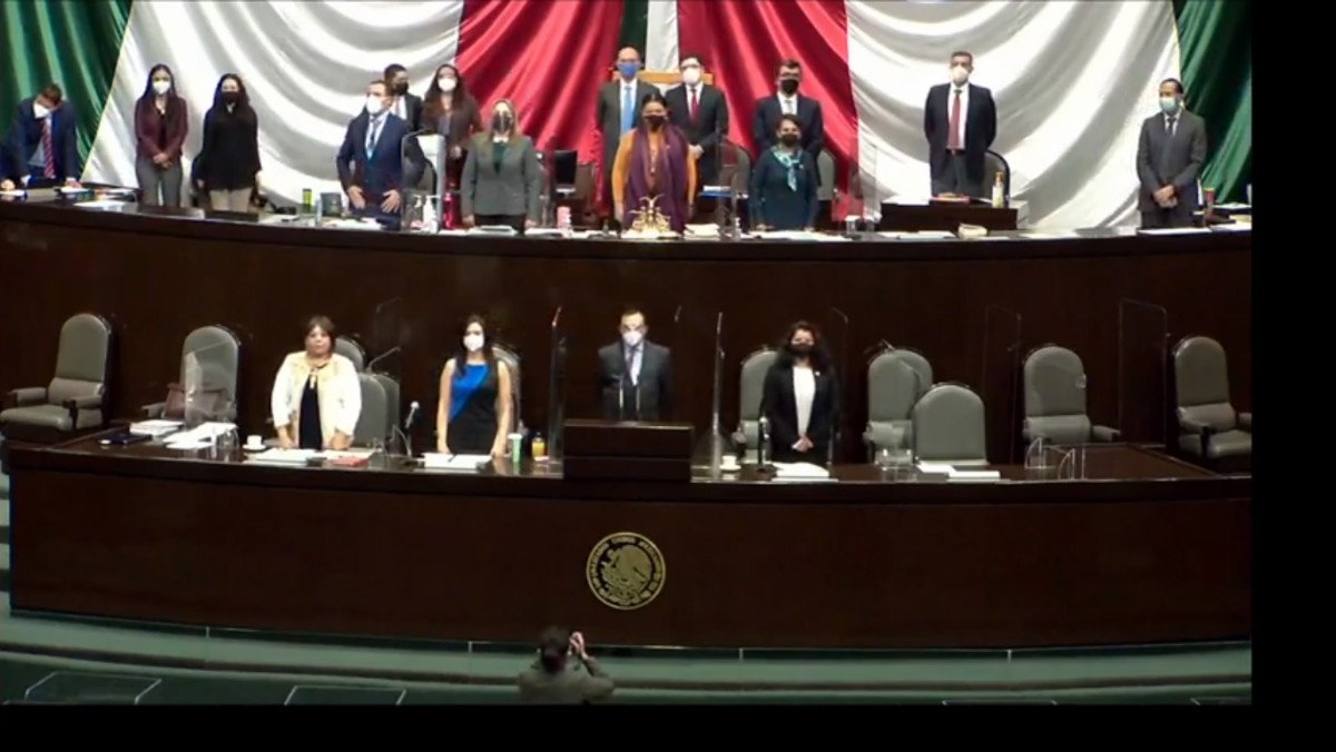 Cámara de Diputados minuto Mireles.jpg