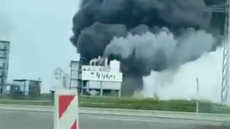 Captura de Pantalla 2021-07-27 a la(s) 11.54.17.jpg