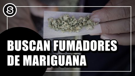 DANY BUSCAN FUMADORES DE MATIGUANA