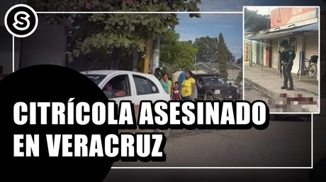 DANY CITRÍCOLA