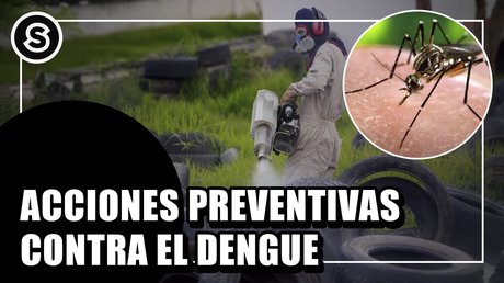 DENGUE 1 (1)